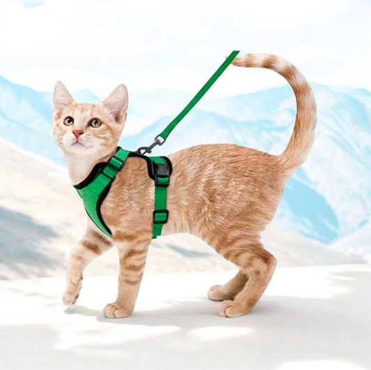 Escape Proof Cat Harness and Leash Set