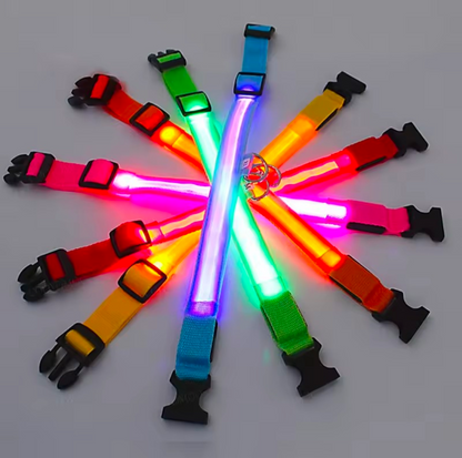 LED Light-Up Dog Collar