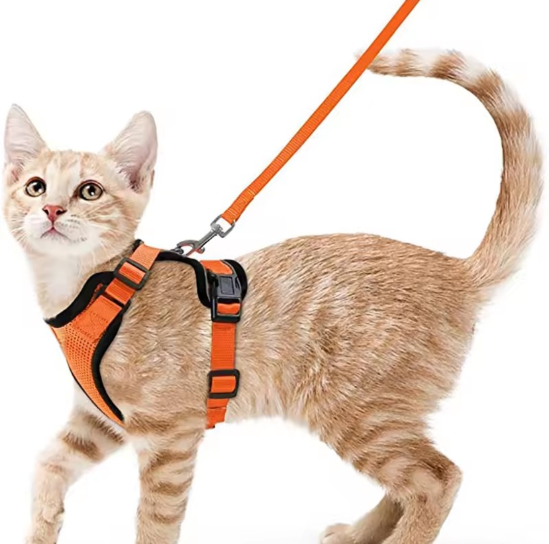 Escape Proof Cat Harness and Leash Set