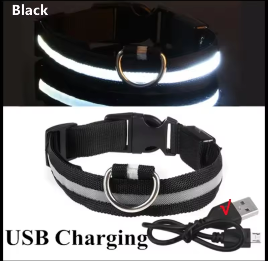 LED Light-Up Dog Collar