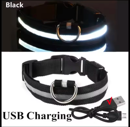 LED Light-Up Dog Collar