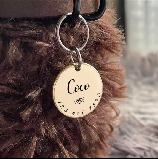 Custom Pet ID Tag