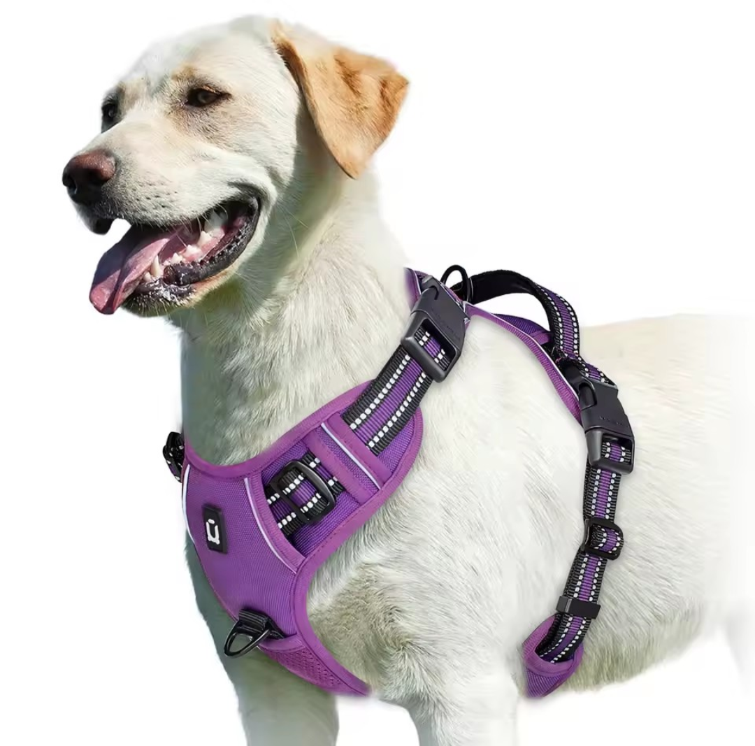 No Pull Dog Harness