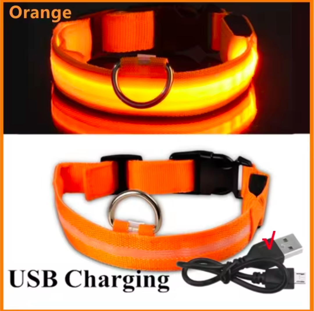 LED Light-Up Dog Collar