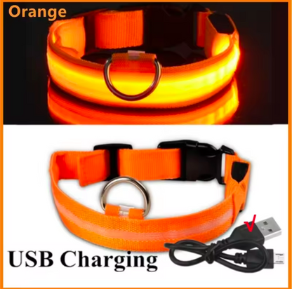 LED Light-Up Dog Collar
