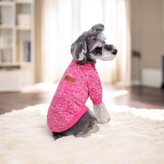 Winter Pet Jacket