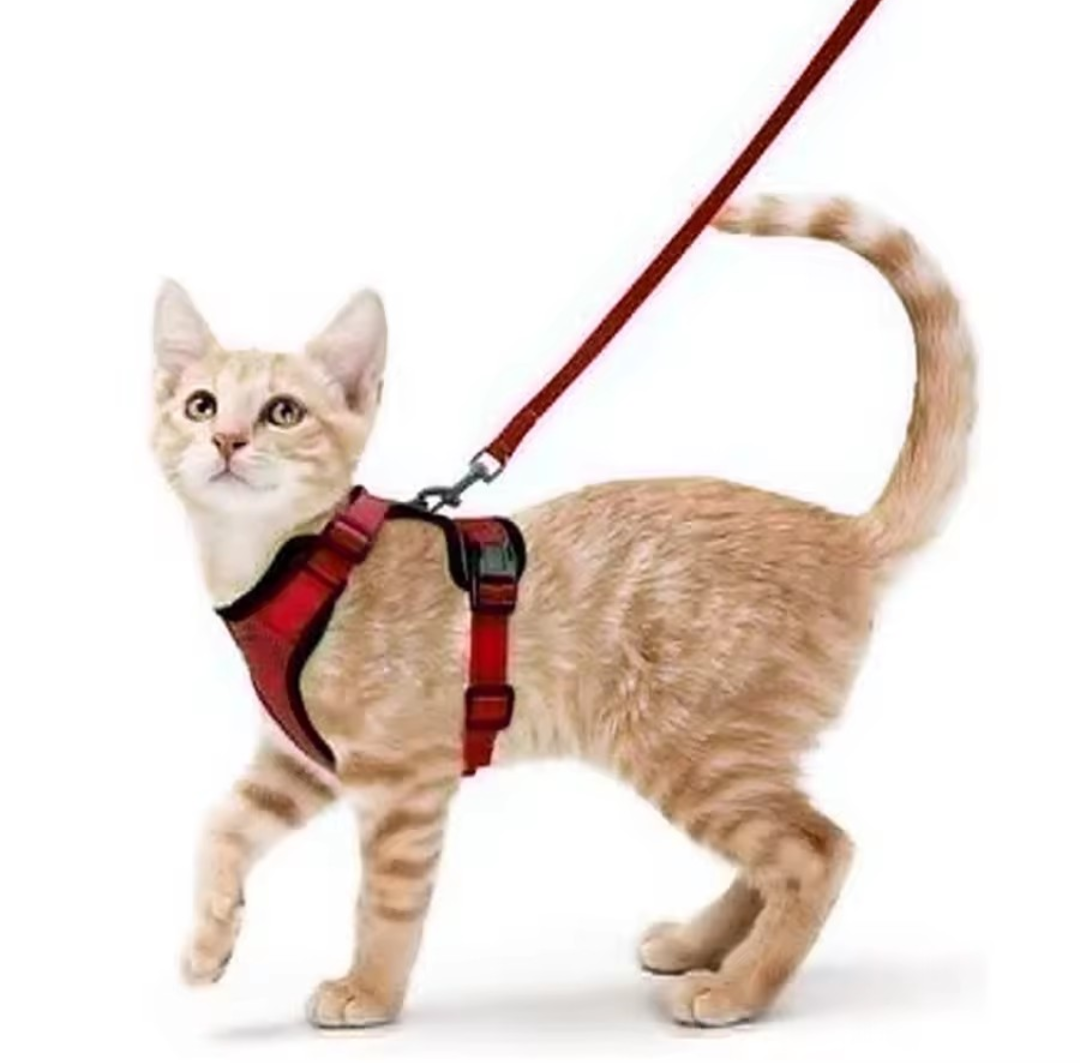 Escape Proof Cat Harness and Leash Set