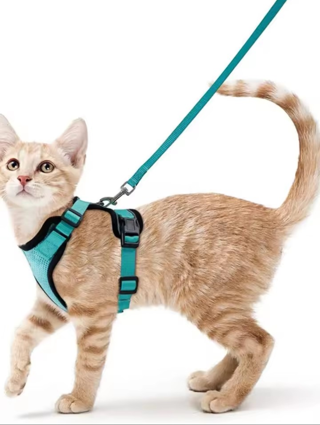 Escape Proof Cat Harness and Leash Set