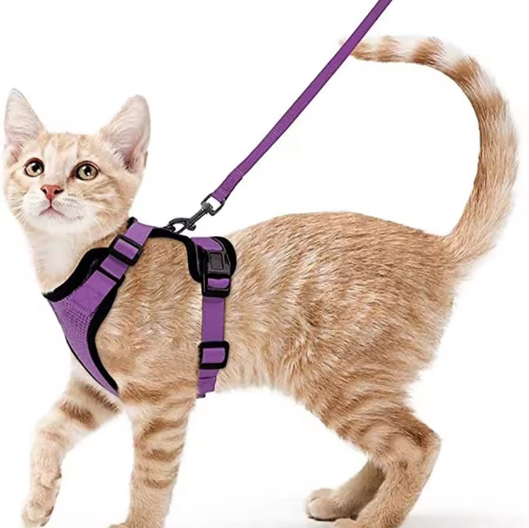 Escape Proof Cat Harness and Leash Set