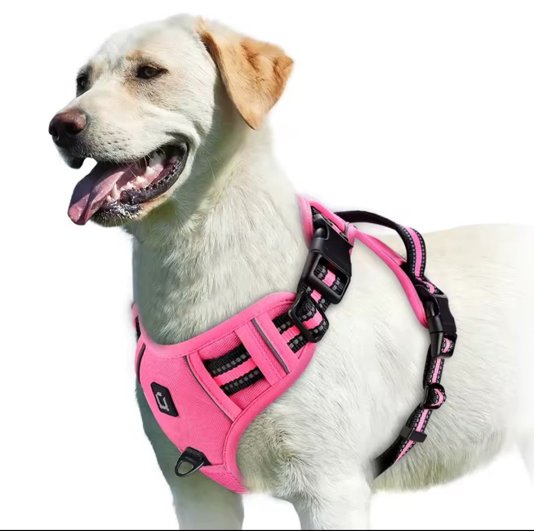No Pull Dog Harness