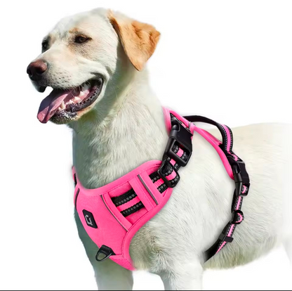 No Pull Dog Harness