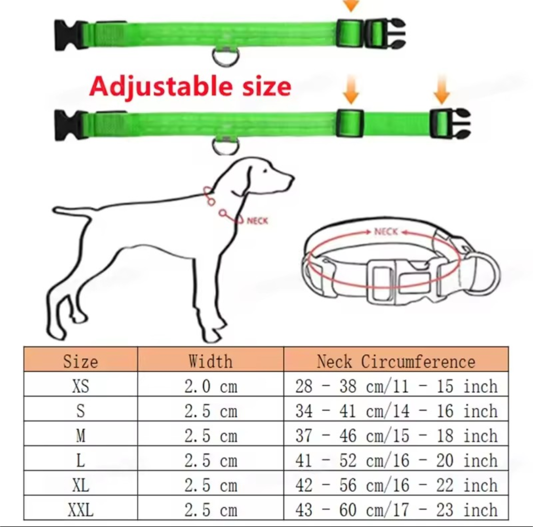 LED Light-Up Dog Collar