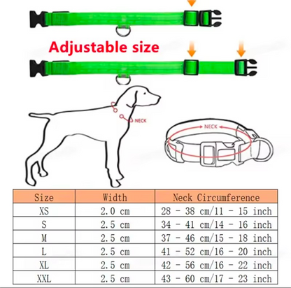 LED Light-Up Dog Collar