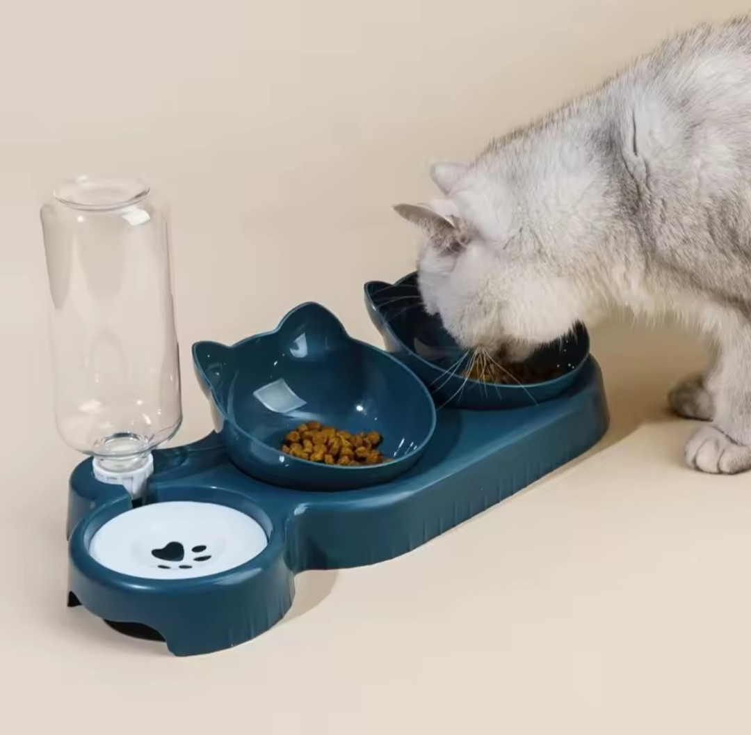 Pet Bowl with Water Feeder