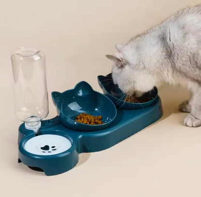 Pet Bowl with Water Feeder