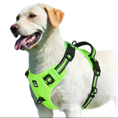 No Pull Dog Harness