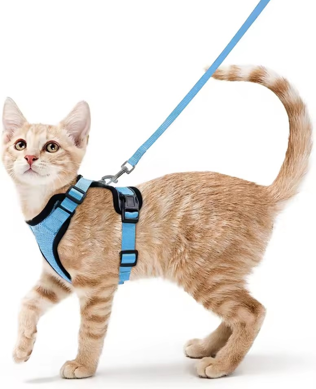 Escape Proof Cat Harness and Leash Set