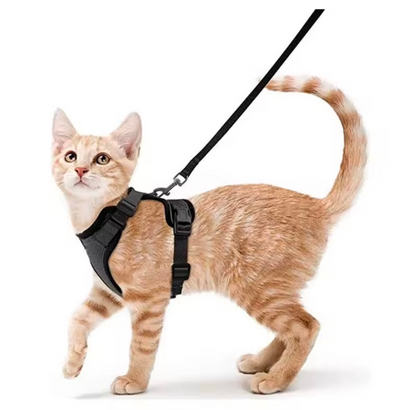 Escape Proof Cat Harness and Leash Set