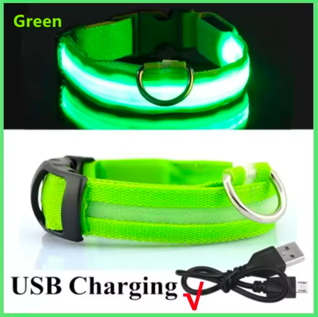 LED Light-Up Dog Collar