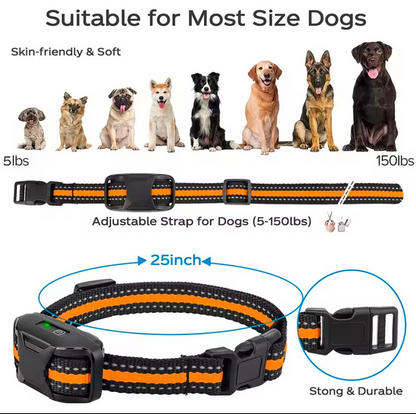 Electric Dog Training Collar