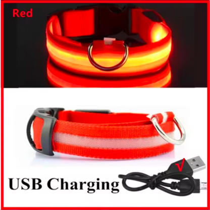 LED Light-Up Dog Collar