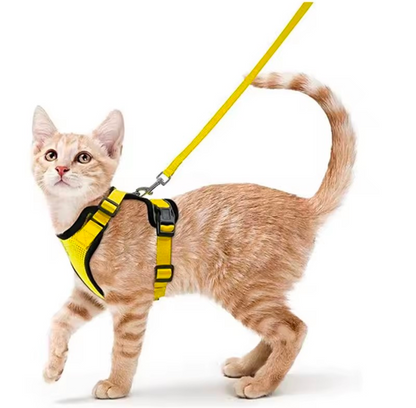 Escape Proof Cat Harness and Leash Set