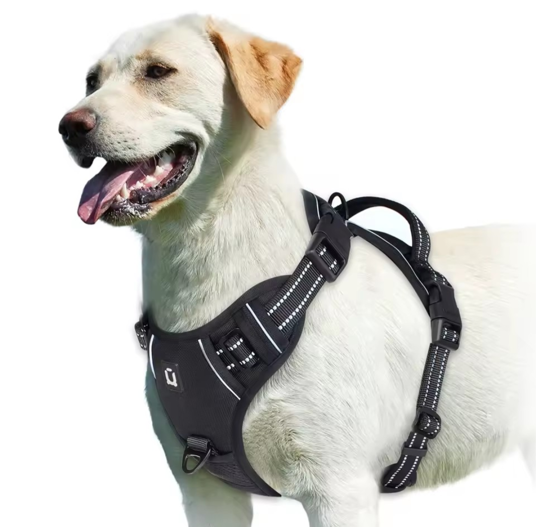 No Pull Dog Harness