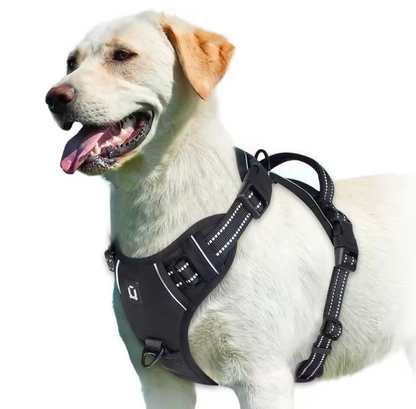 No Pull Dog Harness