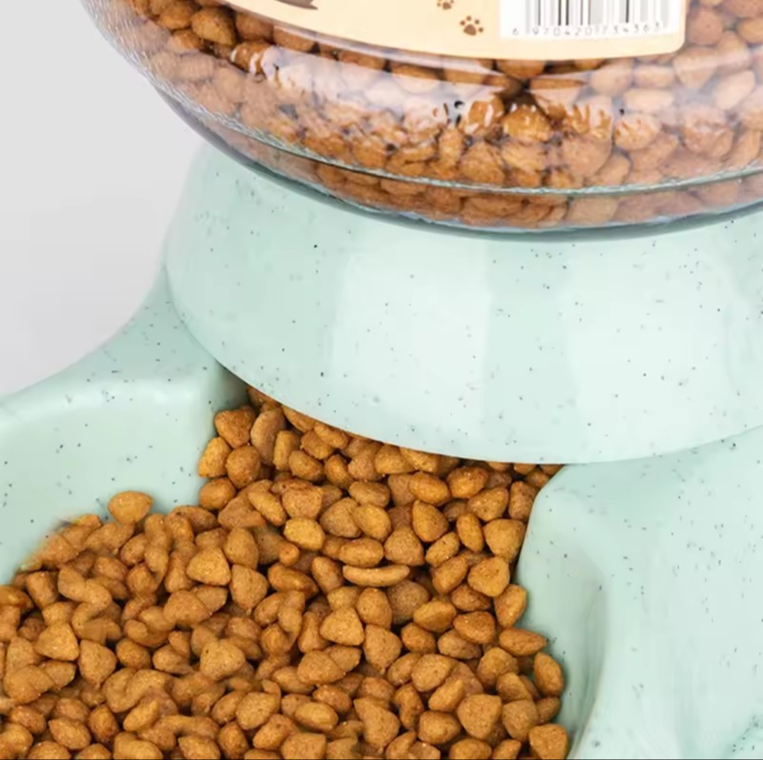 Pet Feeding Bowl