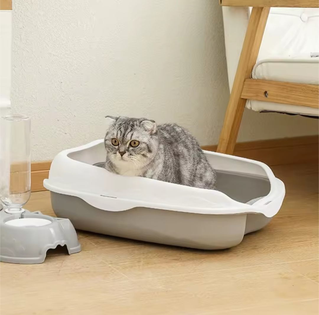 Cat Litter Box