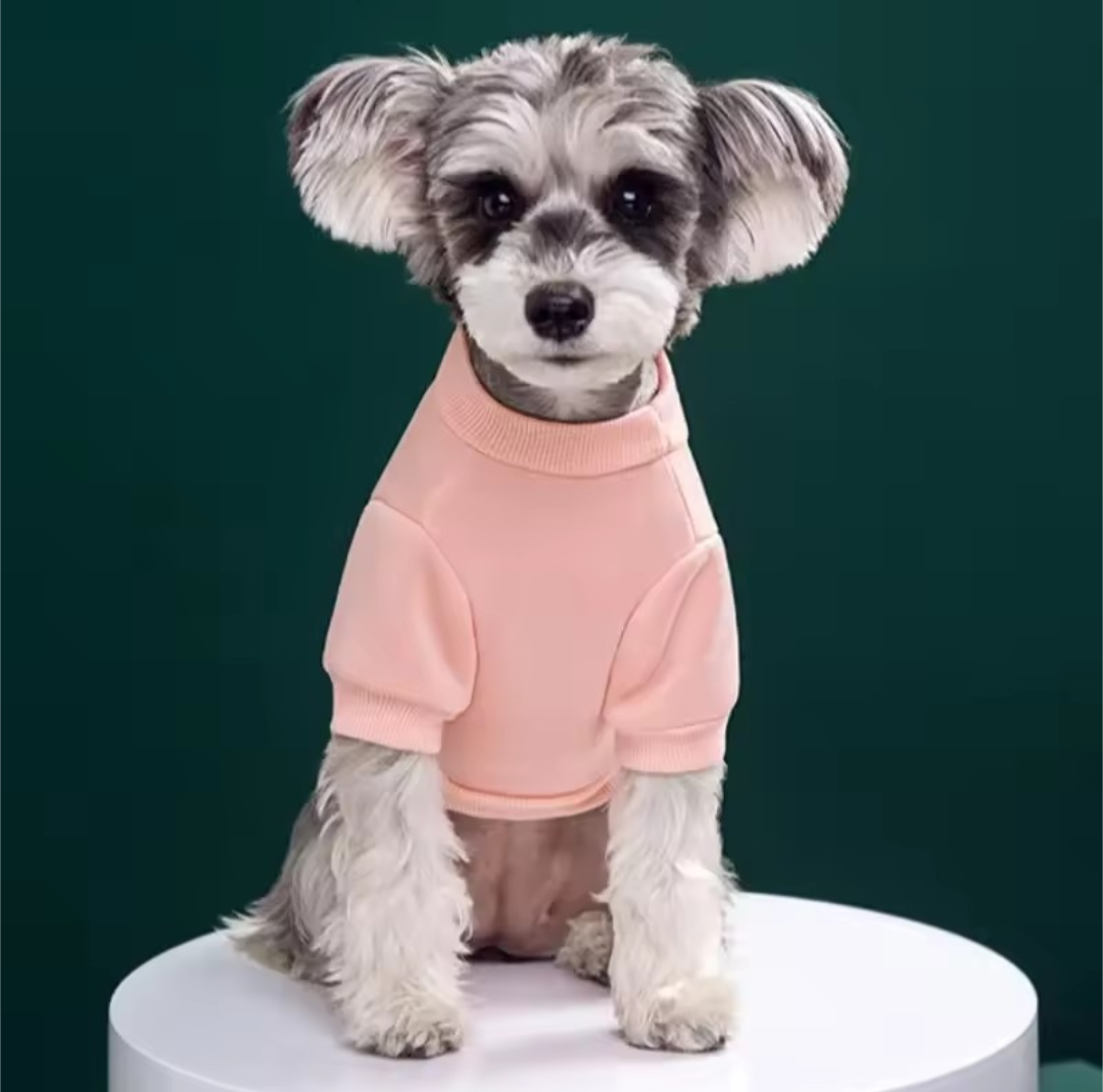 Cute Bear Dog Sweatshirt