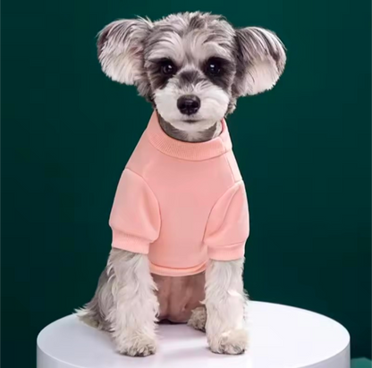 Cute Bear Dog Sweatshirt