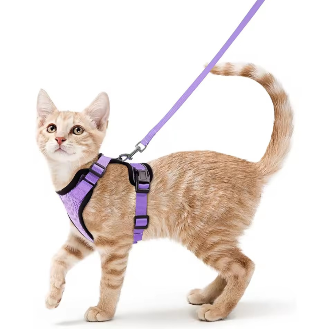 Escape Proof Cat Harness and Leash Set