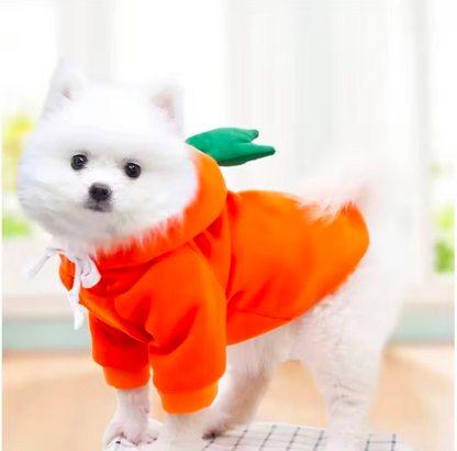 Cute Fruit Dog Hoodie