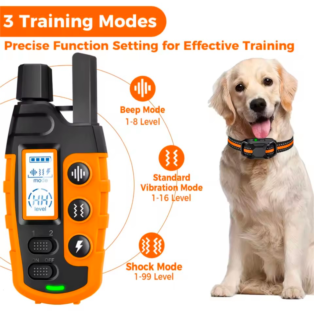 Electric Dog Training Collar