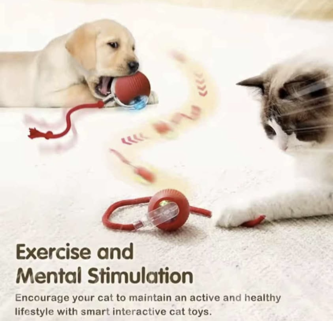 Smart pet toy 0.1