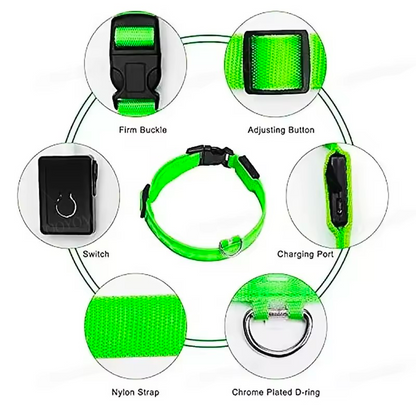 LED Light-Up Dog Collar