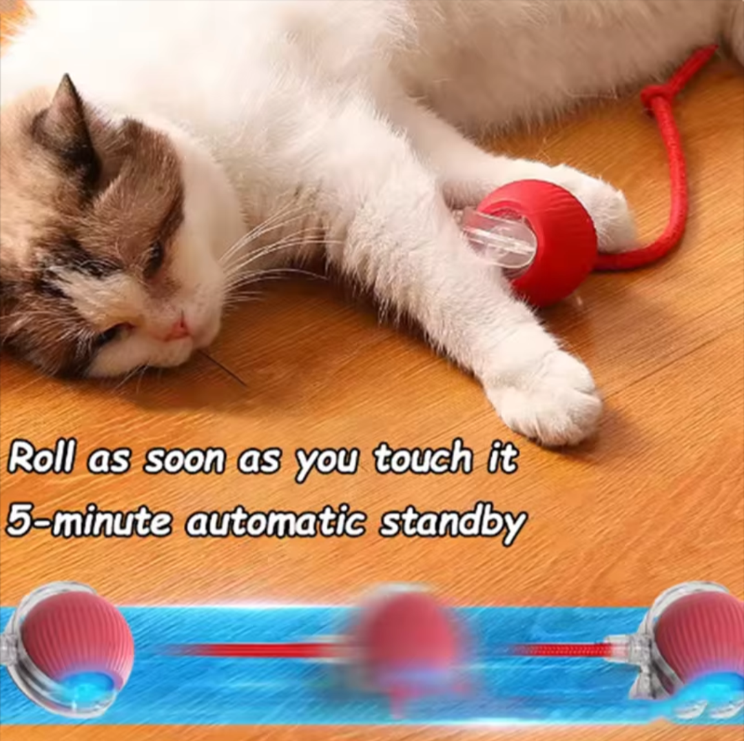Smart Cat Toy