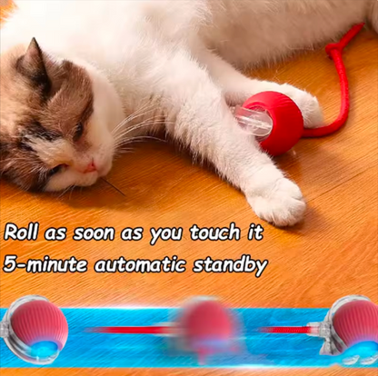 Smart Cat Toy