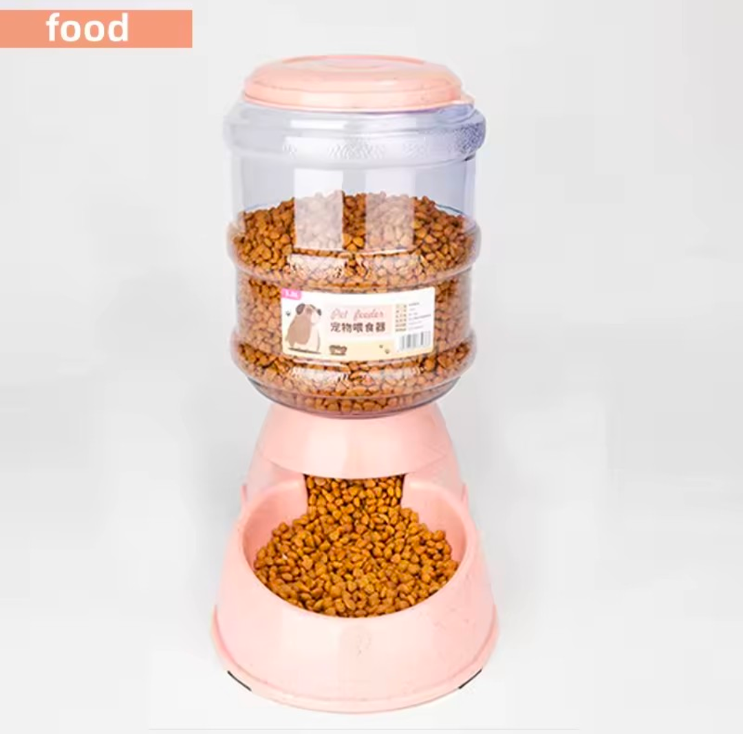 Pet Feeding Bowl