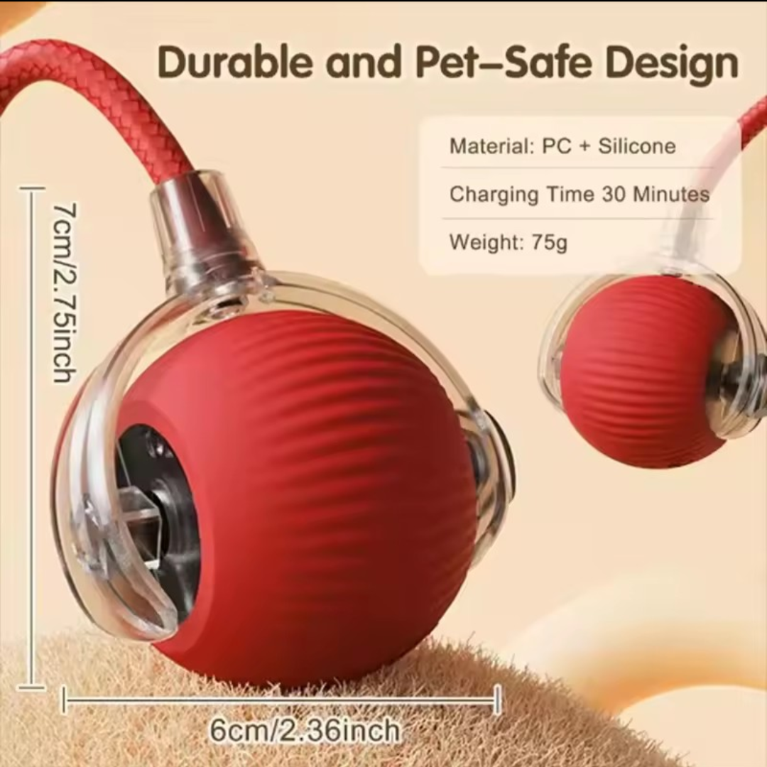 Interactive Dog & Cat Toy